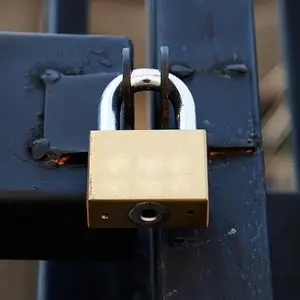 Privacy Coin Bid Continues as Zcash Rally Lifts ‘Dino’ Sector; Starknet’s STRK Rockets 40%