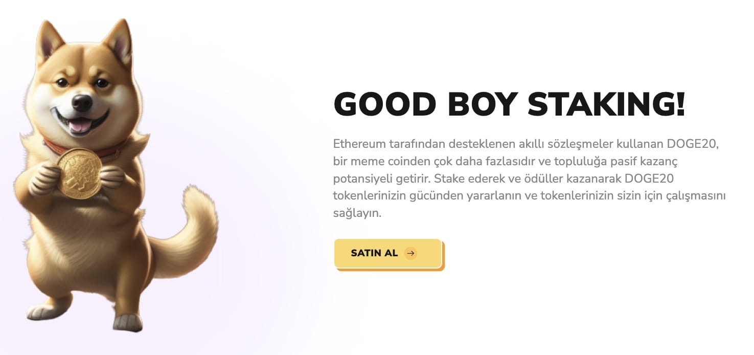 satın almak i&ccedil;in temel neden