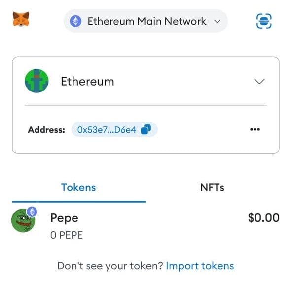 MetaMask Para Yatırma ve PEPE gibi &Ouml;zel Token Ekleme