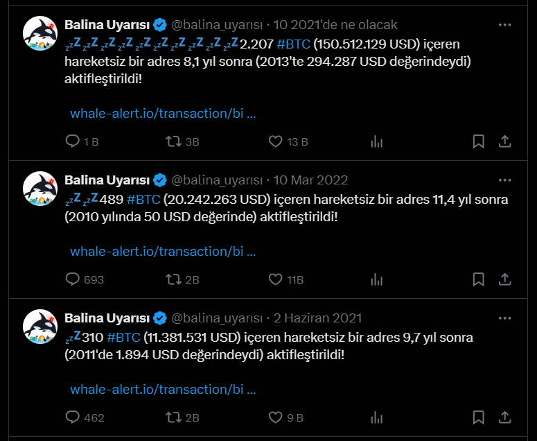kripto balina nedir